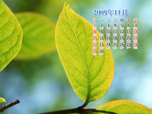 400606 (a): :1024x768